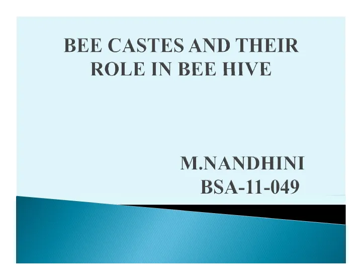 Cover of Bee castes and their role in the hive
