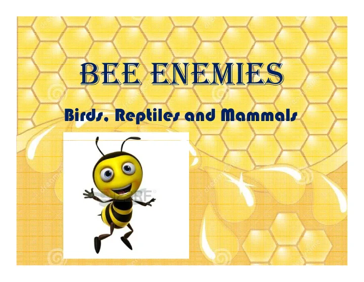 Cover of Bee enemies: birds, reptiles and mammals