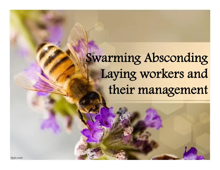 Cover of Swarming, absconding and laying workers