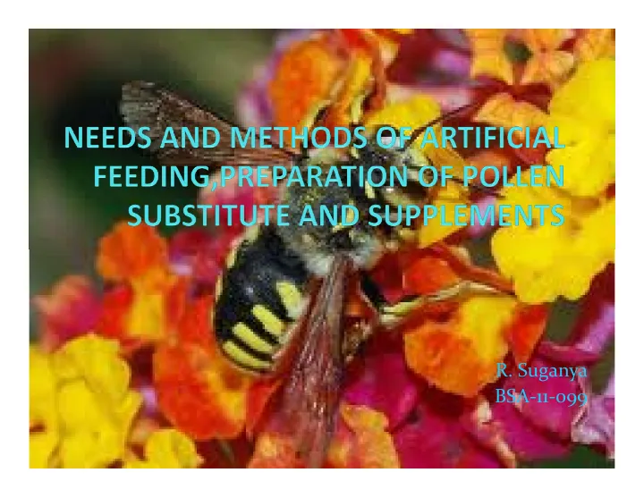 Cover of Artificial feeding and pollen substitutes