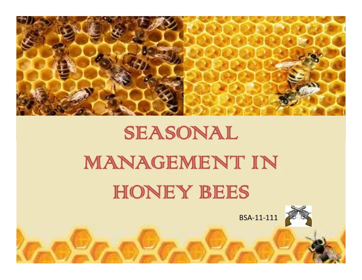 Cover of Seasonal management of honey bees