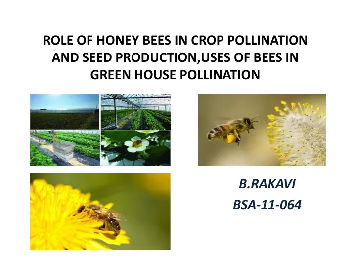 Cover of Honey bees in crop and greenhouse pollination