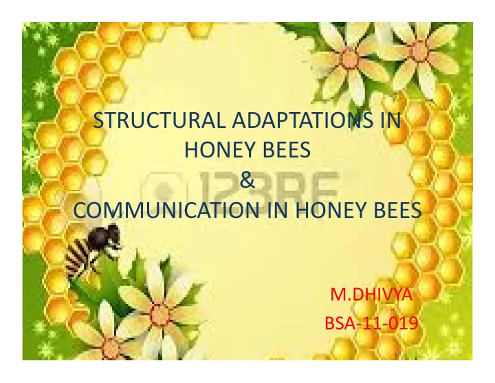 Cover of Structural adaptations and communication